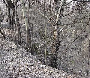 Kiyev yaxınlığından keçən Babi Yar çayı.