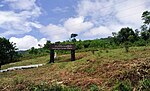 Grass, trees, and an information board