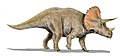 Triceratops este unul dintre genurile cele mai cunoscute ale Cretacicului.