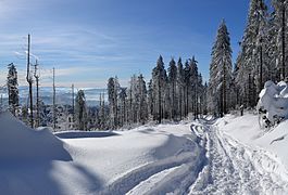 Un camí a l'hivern a les Beskides de Silèsia, a prop de la muntanya de Barania Góra.