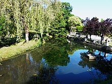 Vieux-Mareuil