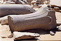 Fragmente von Palmsäulen aus dem offenen Hof des Totentempels der Djedkare-Pyramide