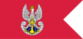 Flaga Marynarki Wojennej