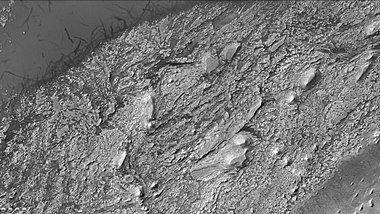 Crommelin crater showing layers and dust devil tracks, as seen by CTX camera. Note: this is an enlargement of a previous image of Crommelin crater.