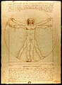 Leonardo da Vinci, Uomo Vitruviano (circa 1485).
