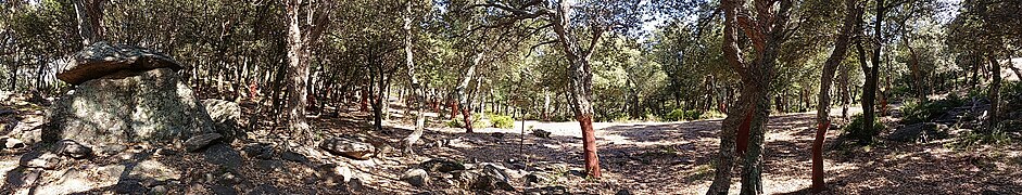 Environnement du dolmen.