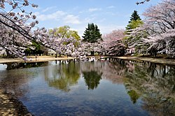 Puisto Japanin itsepuolustusvoimien tukikohdassa