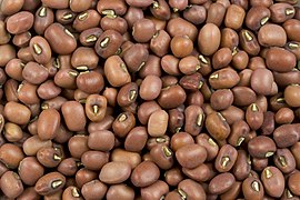 Red Mung Bean Seeds