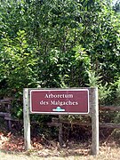 Arboretum des Malgaches, géré par l'ONF.