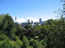 Centrum van Auckland gezien vanaf Auckland Domain