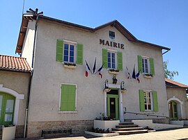 The Town Hall