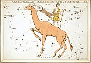 Plate 2: Camelopardalis, Tarandus and Custos Messium