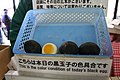 [Onsen tamago (Black egg) Miyanoshita Onsen