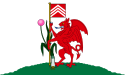 Bandeira oficial de Cardiff