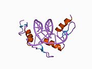 1a1j: RADR (ZIF268 VARIANT) ZINC FINGER-DNA COMPLEX (GCGT SITE)