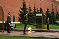 Tomb of the Unknown Soldier Eternal Flame