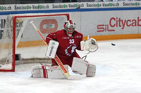 NLA, Lausanne HC vs. Rapperswil-Jona Lakers, 11th November 2014 03