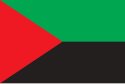 Bendera Martinik