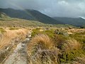 Gil û giya li Heaphy Track, South Island, Zelanda Nû