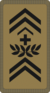 OR-9a - Adjudant d'état-major