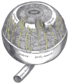 Ciliary muscle - intraocular