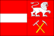 Vlag