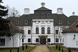 Eredetileg Rimanóczy-, később Gyülevizy–Pejacsevich-kastély