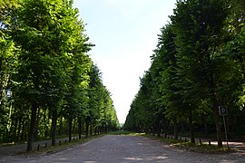 Le parc de Saint-Cloud.