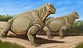 Concepción artística de Moschops capensis, basado en la reconstrucción de un esqueleto encontrado en una región semi-desértica del sur de África. El esqueleto se muestra en el Museo Americano de Historia Natural.