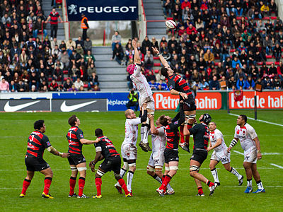 Rugby union line-out