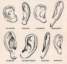 Représentation d'oreilles