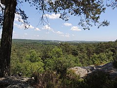 Vue de Fontainebleau depuis le mont Aigu, dans la forêt de Fontainebleau, dans le sud-ouest.