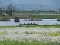 Lake Fukushimagata