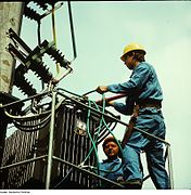Electricistas con uniforme de trabajo