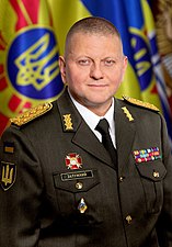 Former Commander-in-Chief of the Armed Forces Valerii Zaluzhnyi