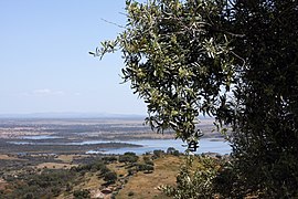 Uitsig oor die Alquevadam in die Guadianarivier vanaf een van die vele heuwels