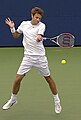 Daniel Nestor smíšená čtyřhra