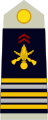 Lieutenant-colonel (França)