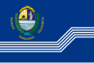 Flag of Salto Department