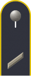 Dienstgradabzeichen auf der Schulterklappe der Jacke des Dienstanzuges für Luftwaffenuniformträger.