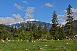 Mountain View Cemetery1