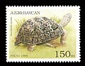 Tartaruga leopardo em um selo do Azerbaijão