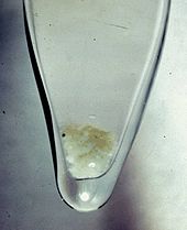 Vial de cristal de hidróxido de plutonio de color blanco parduzco como la nieve