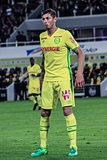 Emiliano Sala, 2017