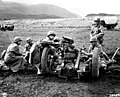 Image 14US Army training in Iceland in June 1943. (from History of Iceland)