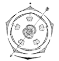 Bloemdiagram petunia, scheef zygomorf