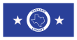 Vlag van Tarrant County