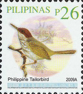 Filipijnse snijdervogel