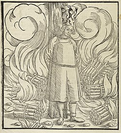 Dřevoryt z knihy Jan Hus et Hieronymus von Prag, Historia et monumenta, Norimberk, 1558