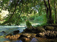 Zona natural de la ribera